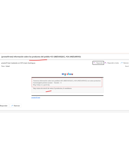 email enviado productos vendidos