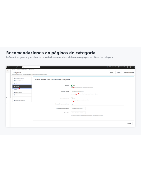 categoria back