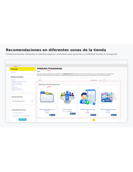 categoria front